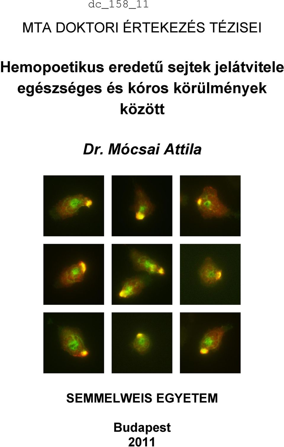 egészséges és kóros körülmények között