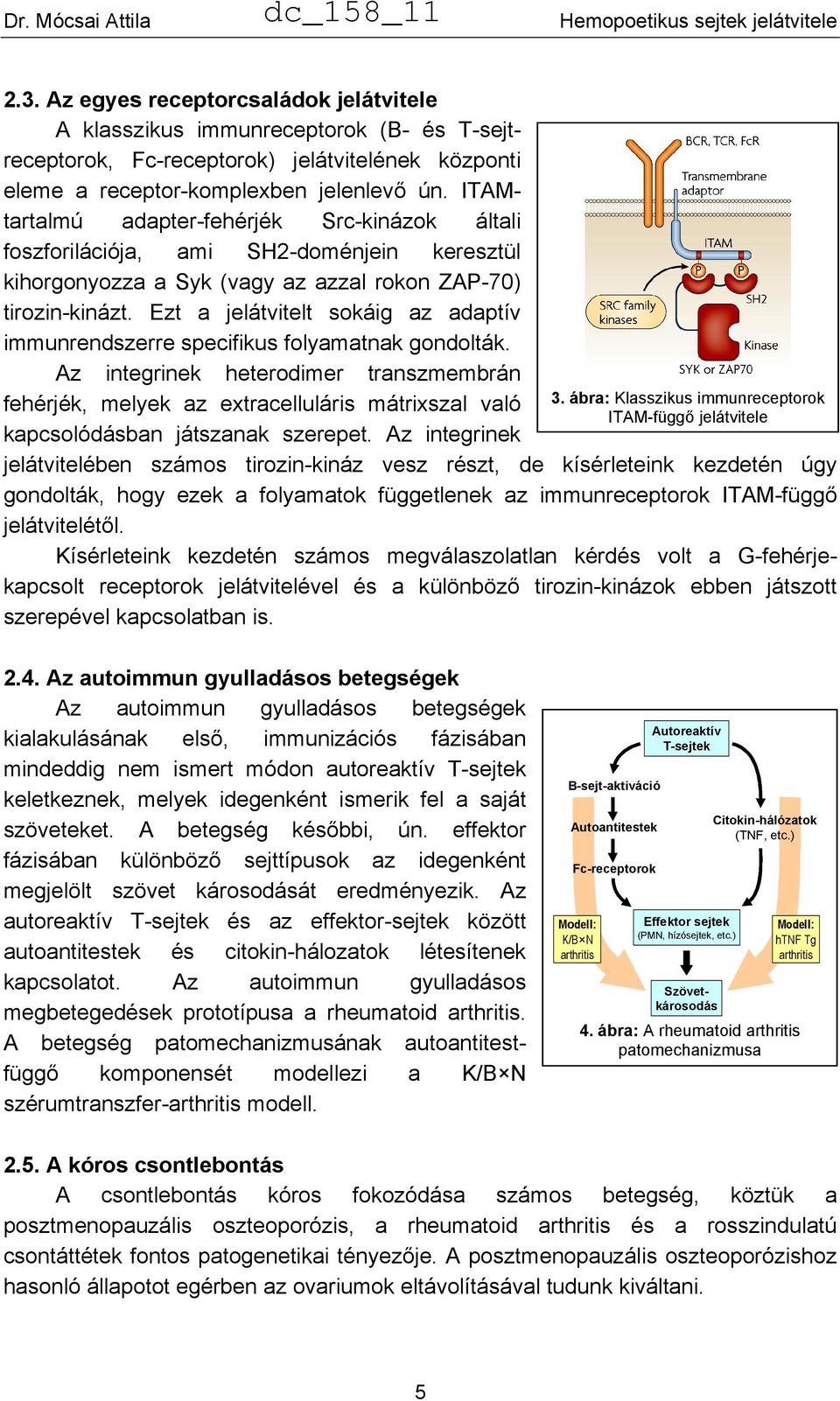 Ezt a jelátvitelt sokáig az adaptív immunrendszerre specifikus folyamatnak gondolták.