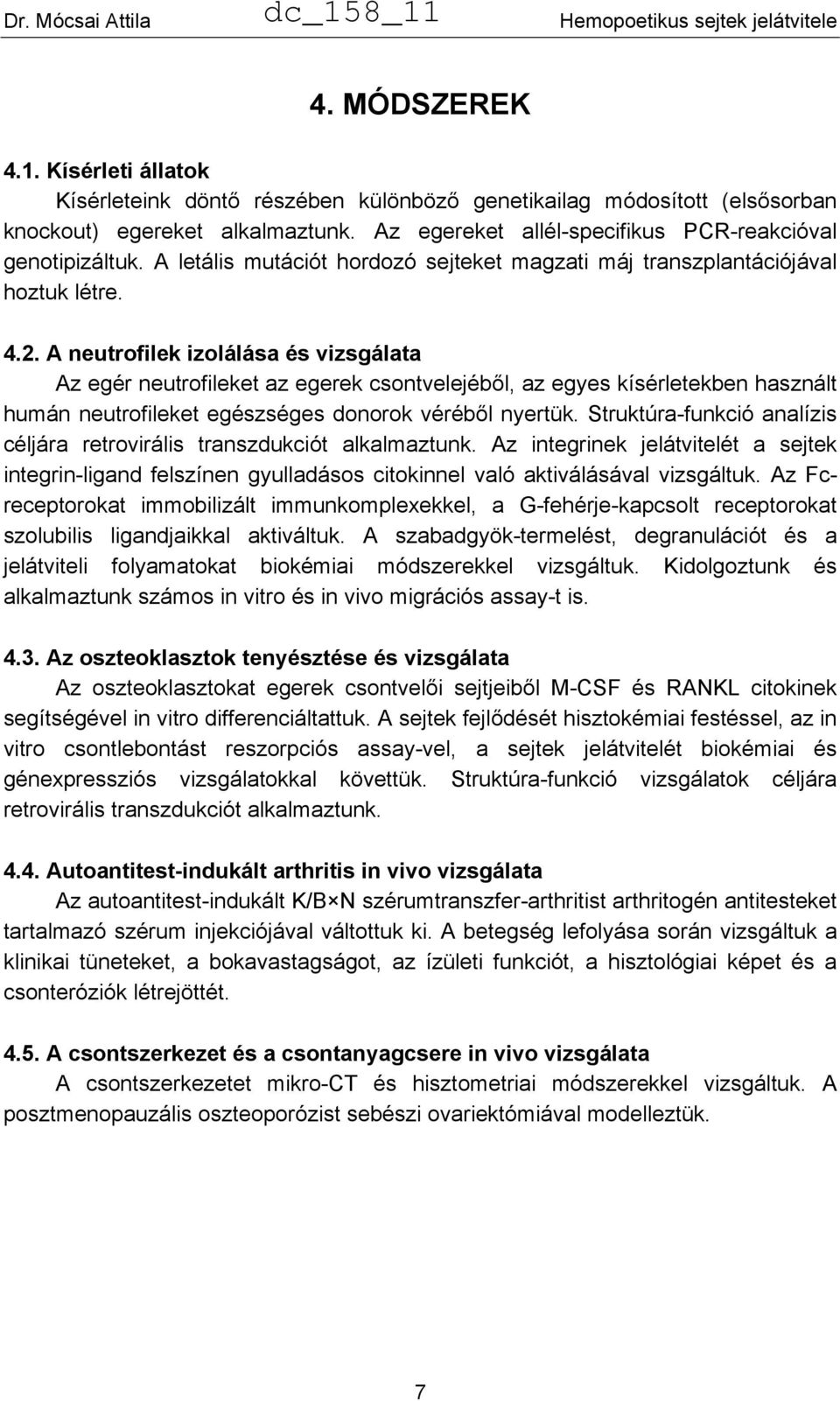 A neutrofilek izolálása és vizsgálata Az egér neutrofileket az egerek csontvelejéből, az egyes kísérletekben használt humán neutrofileket egészséges donorok véréből nyertük.