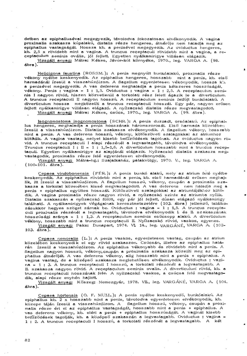 Egyetlen nyálkamirigye villásan elágazik. Vizsgált anyag: Mátra: Kékes, Jávor-kút környéke, 1970., leg. VARGA A. (98. ábra). Helicigona faustina (ROSSM.