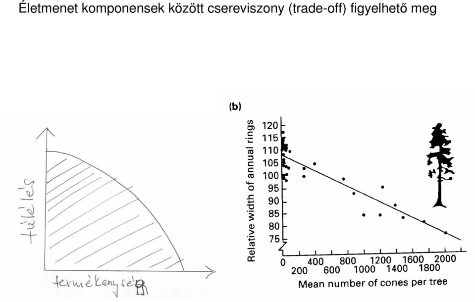 között