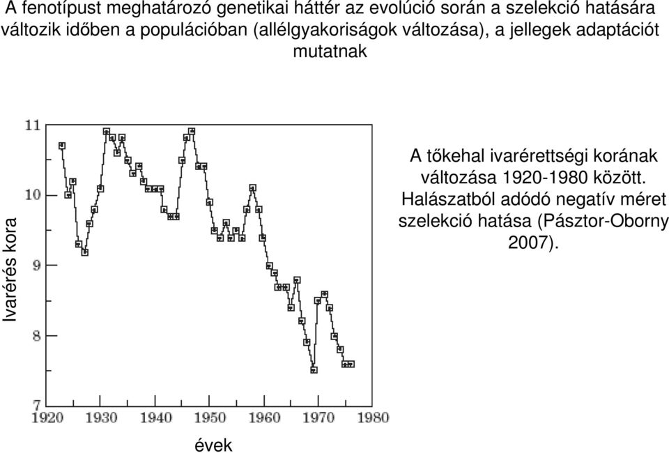 adaptációt mutatnak Ivarérés kora A tőkehal ivarérettségi korának változása