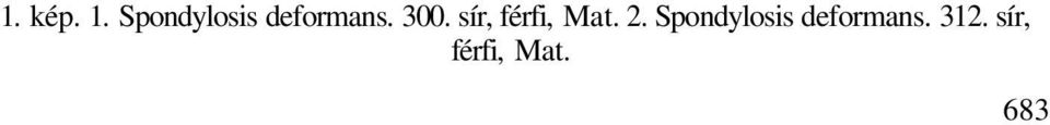 sír, férfi, Mat. 2.