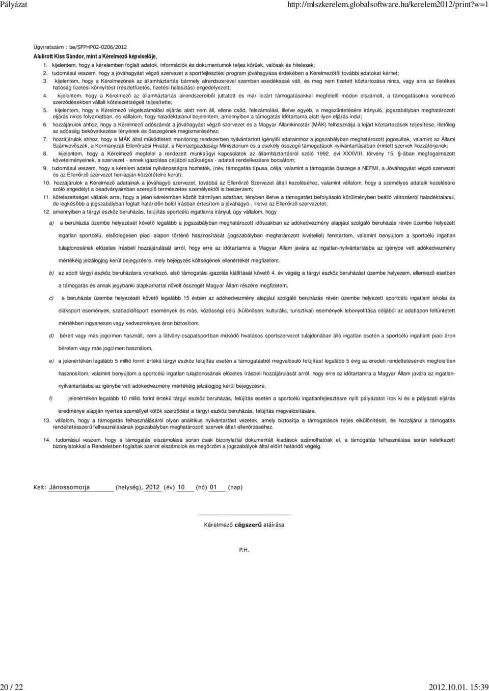kijelentem, hogy a Kérelmezınek az államháztartás bármely alrendszerével szemben esedékessé vált, és meg nem fizetett köztartozása nincs, vagy arra az illetékes hatóság fizetési könnyítést