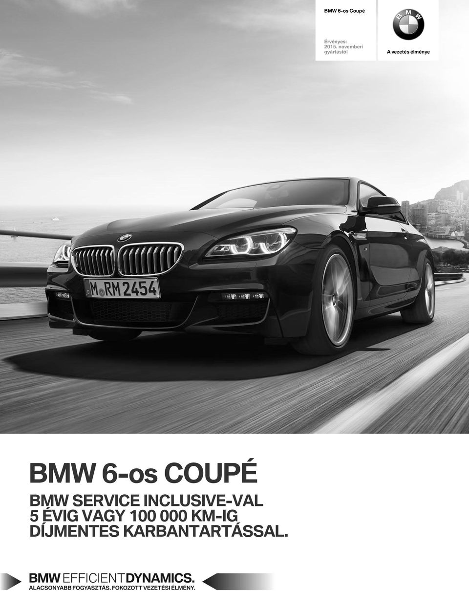 BMW 6-s CUpé BMW SERVICE INCLUSIVE-VaL