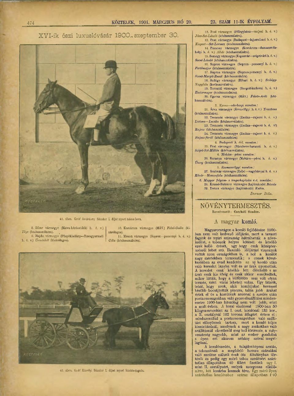 Somogy vármegye (Kaposvár szigetvári h. é. v.) Szent-László (közhasználatra). 16. Sopron vármegye (Sopron pozsonyi h. é. v.) Fertőmajor (közhasználatra). 17. JSopron vármegye (Sopron-pozsonyi h.. é. v.) Szent-Margit-Buszt (közhasználatra).