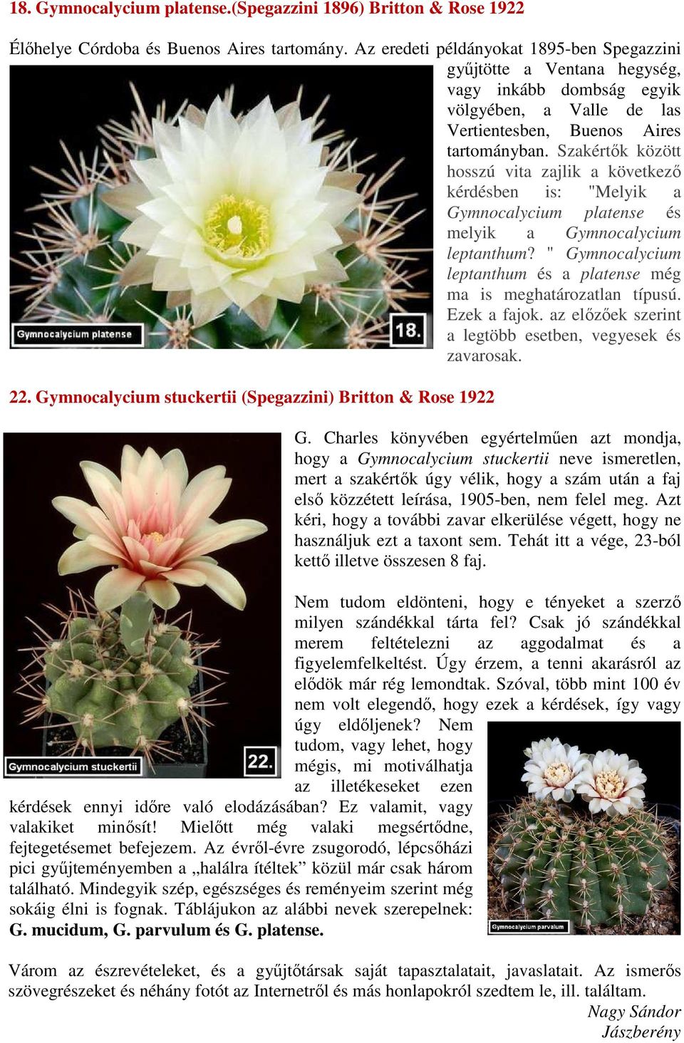 Szakértők között hosszú vita zajlik a következő kérdésben is: "Melyik a Gymnocalycium platense és melyik a Gymnocalycium leptanthum?
