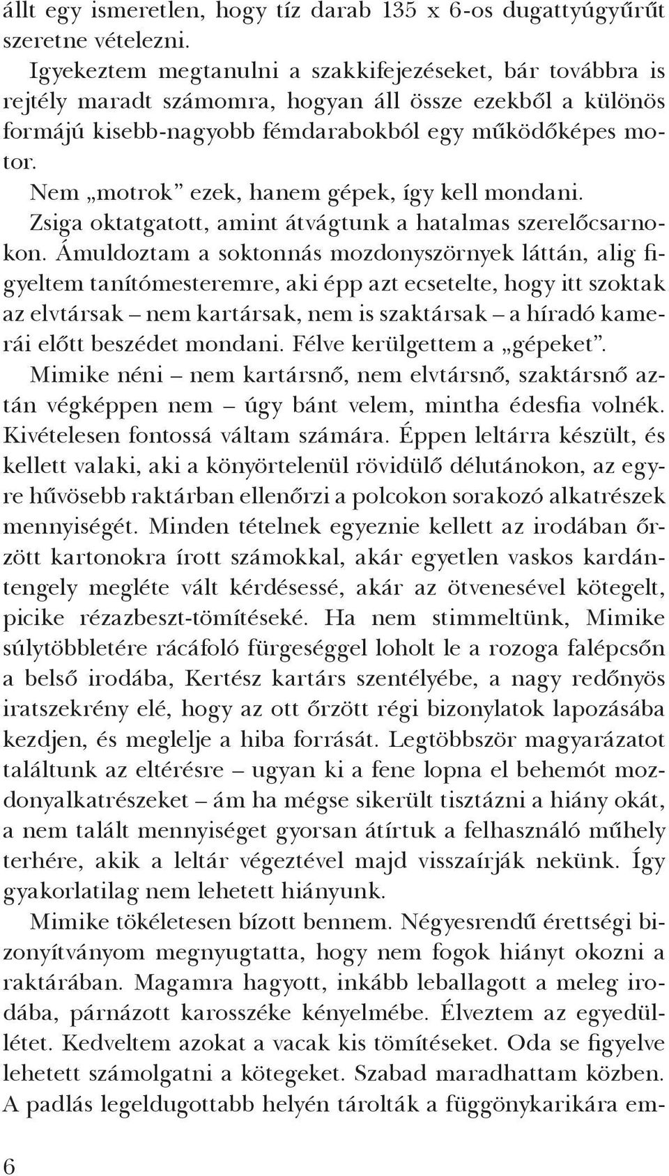 Nem motrok ezek, hanem gépek, így kell mondani. Zsiga oktatgatott, amint átvágtunk a hatalmas szerelőcsarnokon.