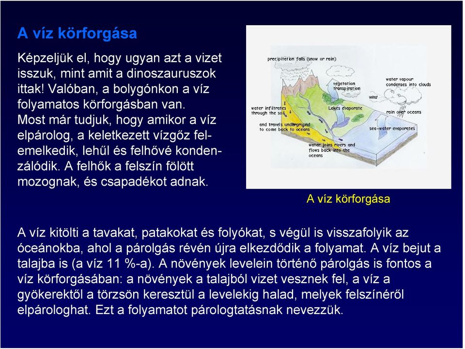 A víz körforgása A víz kitölti a tavakat, patakokat és folyókat, s végül is visszafolyik az óceánokba, ahol a párolgás révén újra elkezdődik a folyamat.