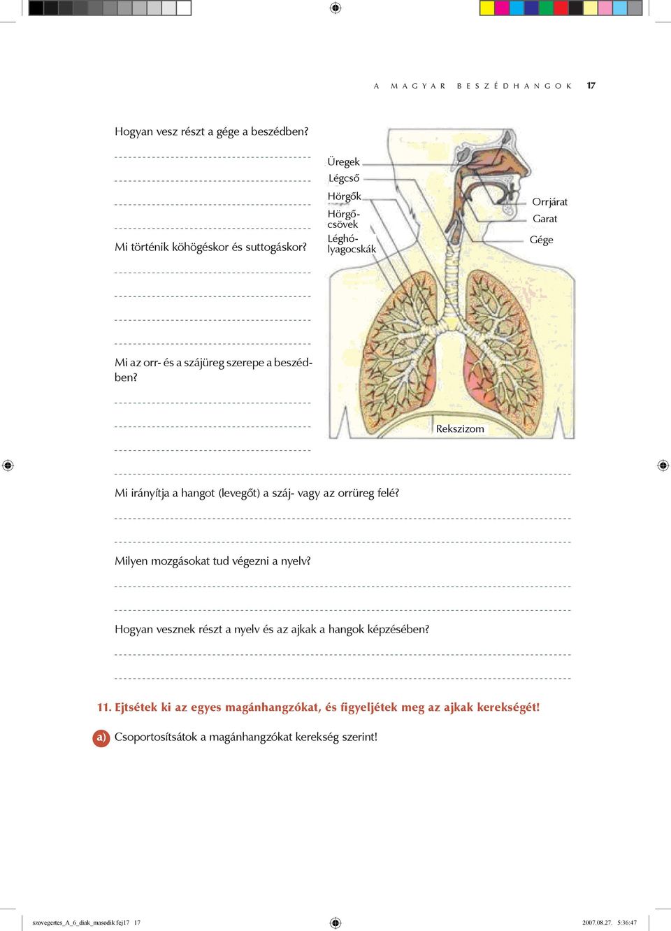 Hörgőcsövek Léghólyagocskák Orrjárat Garat Gége Rekszizom Mi irányítja a hangot (levegőt) a száj- vagy az orrüreg felé?