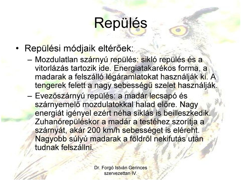 Evezőszárnyú repülés: a madár lecsapó és szárnyemelő mozdulatokkal halad előre.
