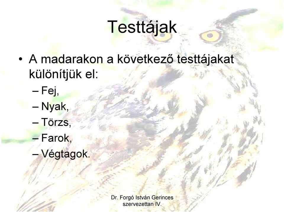 különítjük el: Fej,