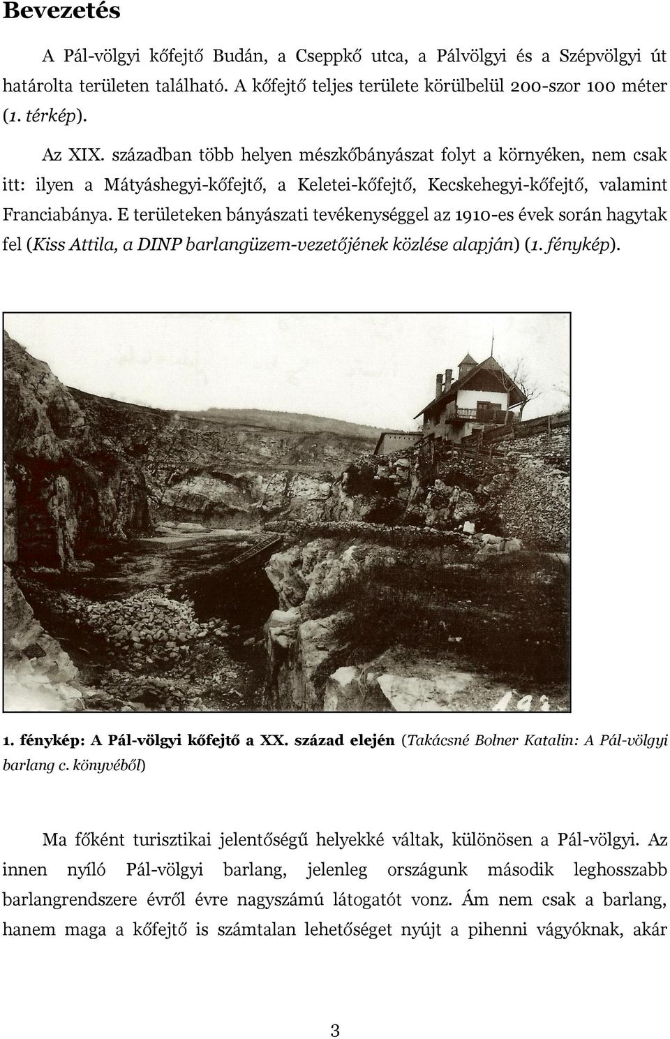 E területeken bányászati tevékenységgel az 1910-es évek során hagytak fel (Kiss Attila, a DINP barlangüzem-vezetőjének közlése alapján) (1. fénykép). 1. fénykép: A Pál-völgyi kőfejtő a XX.