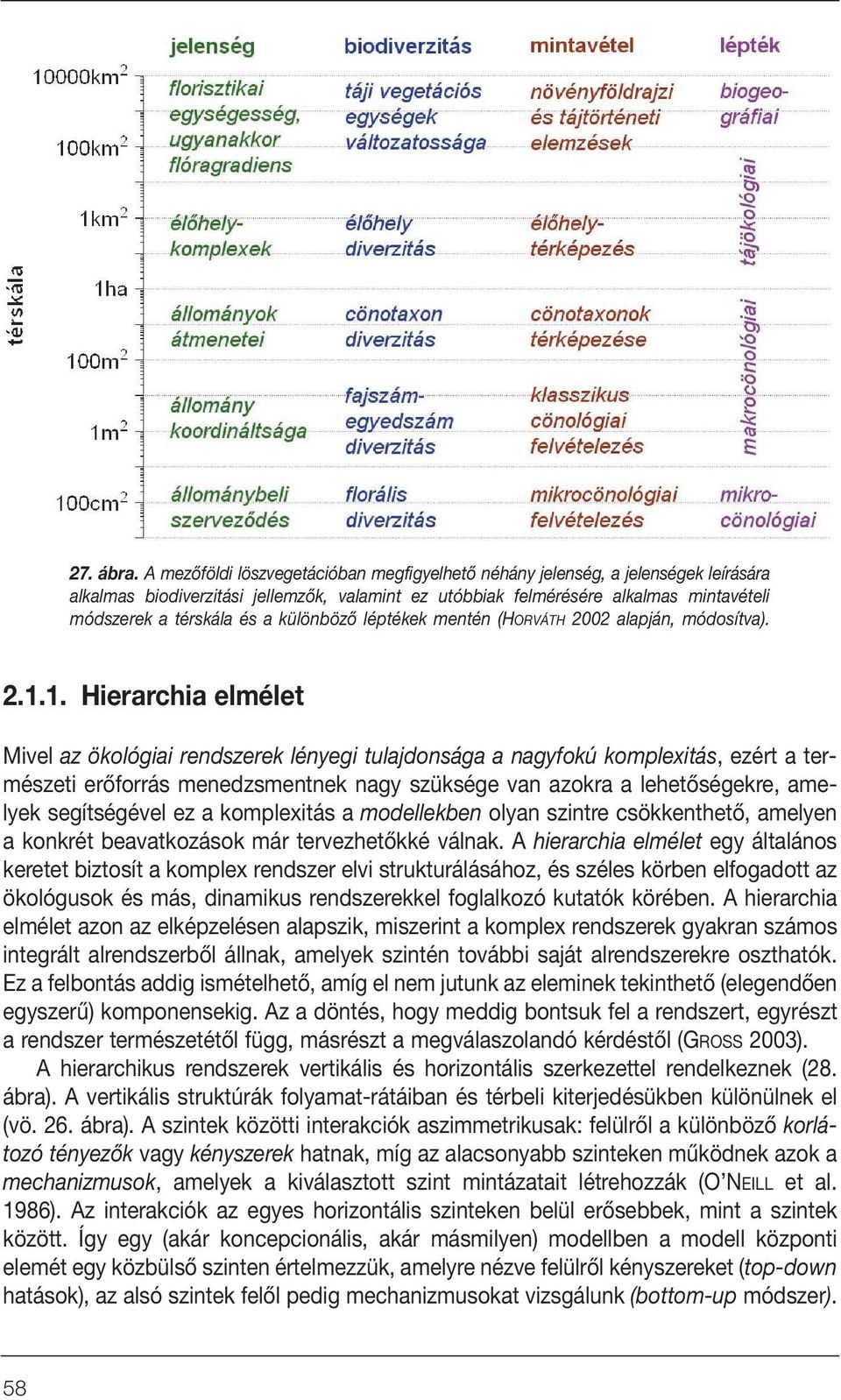 különbözô léptékek mentén (HORVÁTH 2002 alapján, módosítva). 2.1.