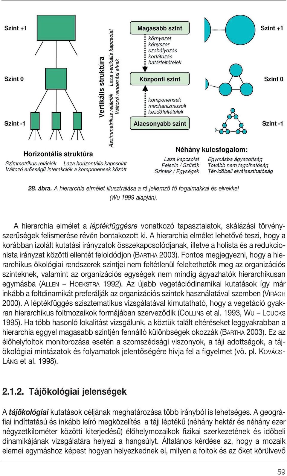 A hierarchia elmélet lehetôvé teszi, hogy a korábban izolált kutatási irányzatok összekapcsolódjanak, illetve a holista és a redukcionista irányzat közötti ellentét feloldódjon (BARTHA 2003).