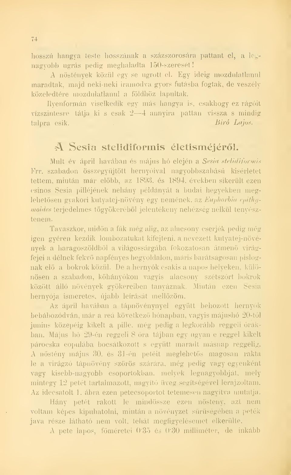 Ilyenformán viselkedik egy más hangya is, csakhogy ez rágóit vízszintesre tátja ki s csak 2 4 annyira pattan vissza s mindig talpra esik. Biró Lajo^. A Sesia stelidiformis élctisméjérl.