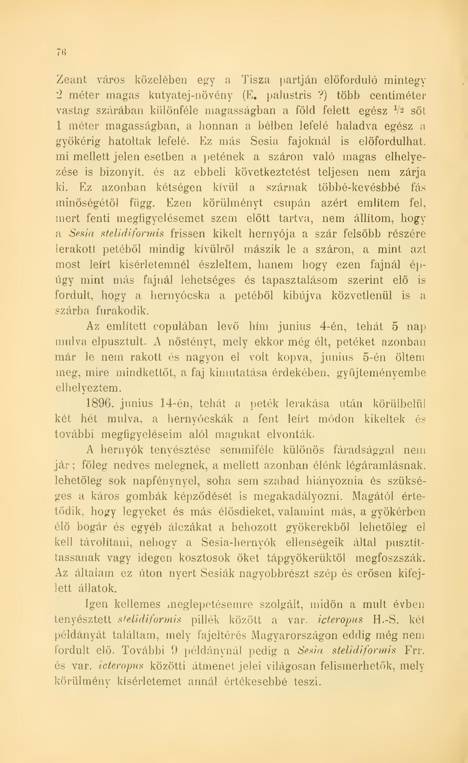 Ez más Sesia fajoknál is elfordulhat, mi mellett jelen esetben a petének a száron való magas elhelyezése is bizonyít, és az ebbeli következtetést teljesen nem zárja ki.