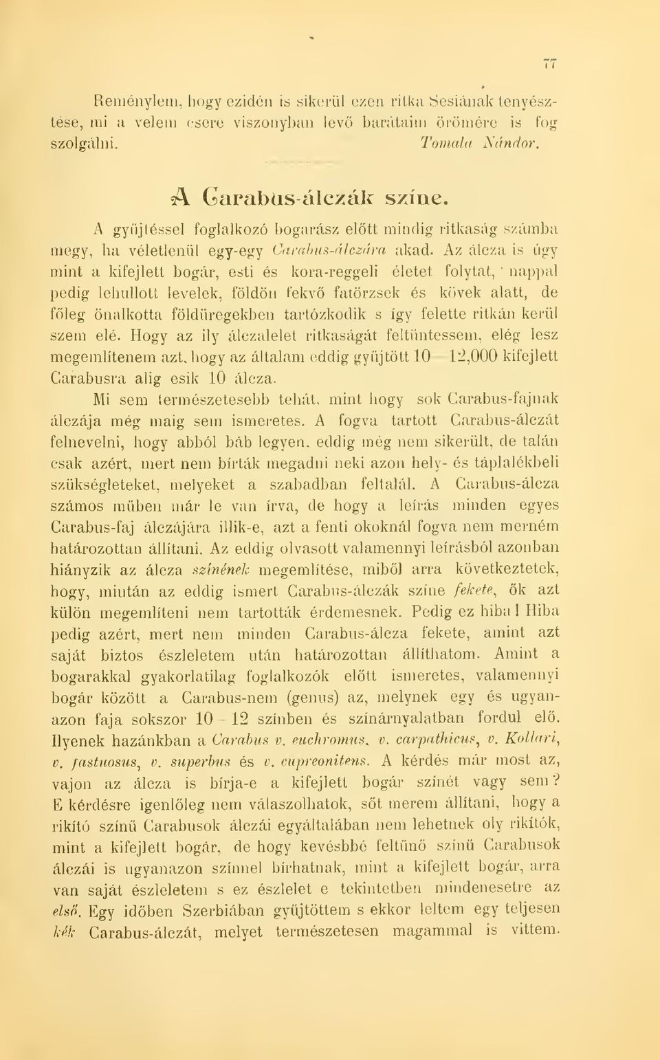 Az álcza is úgy nappal mint a kifejlett bogár, esti és kora-reggeli életet folytat, ' pedig lehullott levelek, földön fekv fatörzsek és kövek alatt, de fleg önalkotta földüregekben tartózkodik s így