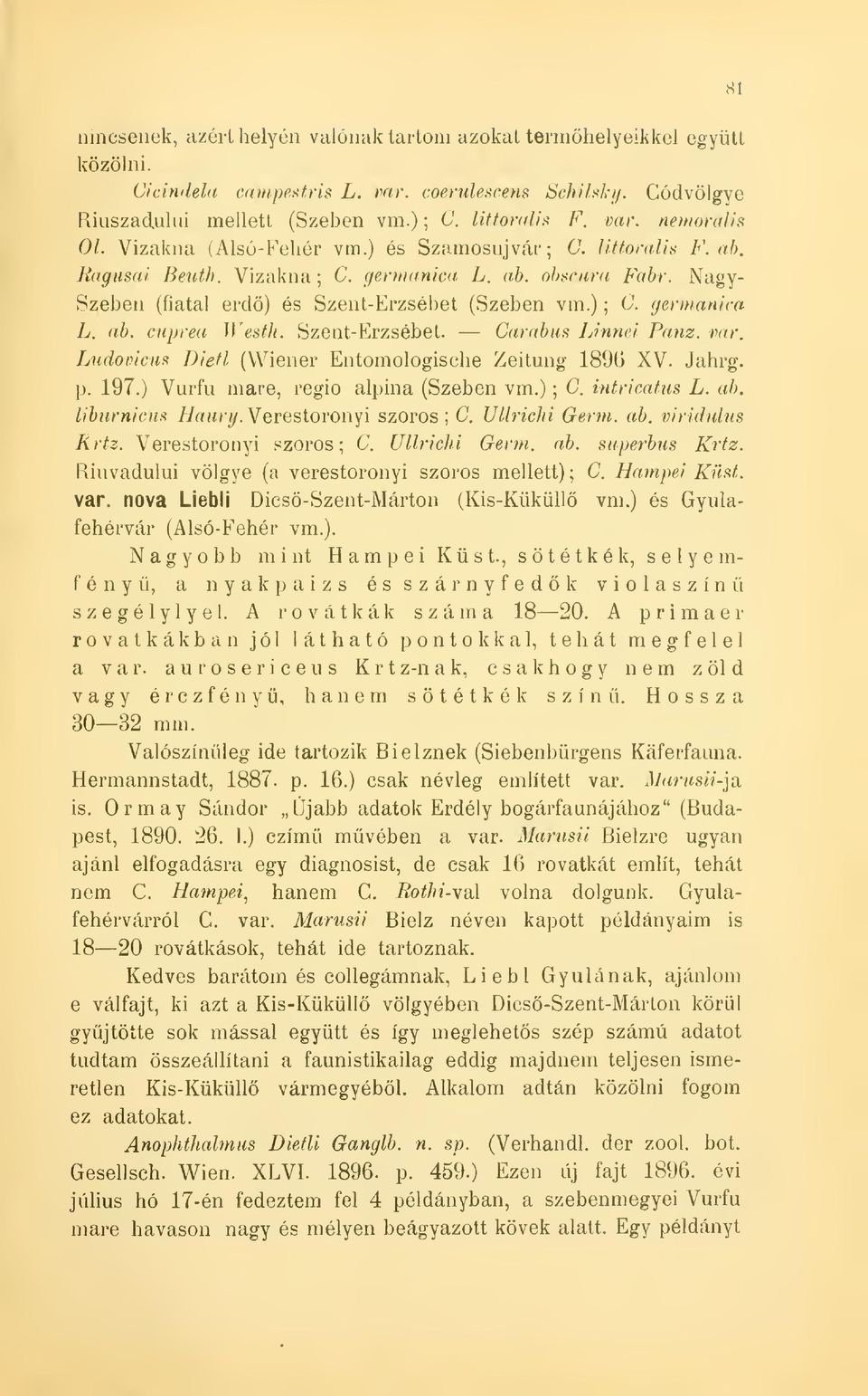 Szent-Erzsébet. Carahus Linnéi Panz. var. Ludovicm Diefl (Wiener Entomologische Zeitung 1896 XV. Jahrg. p. 197.) Vurfu maré, regio alpina (Szeben vm.) ; 0. intricatus L. ah. liburnicus Haury.