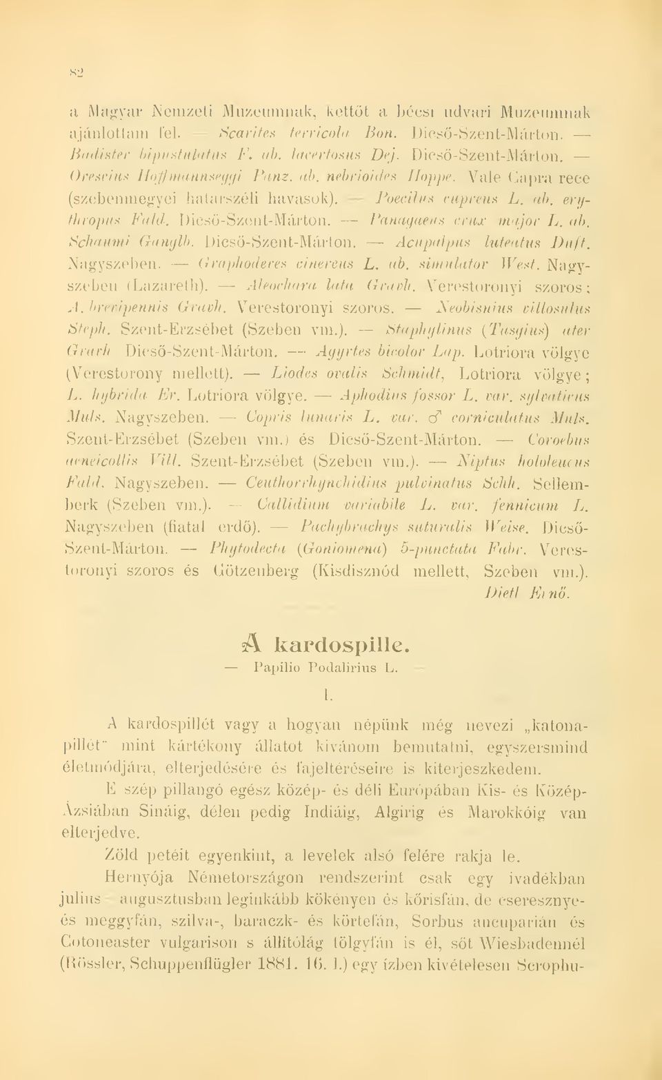 Dicsö-Szeiit-Márton. Acupalpus luteatus Duff. Nagyszeben. Graphoderes cínereus L. ab. mnulator West. Nagyszeben (Lazareth). Aleochara lata GravJi. Verestoronyi szoros A.brevipenms Gravh.