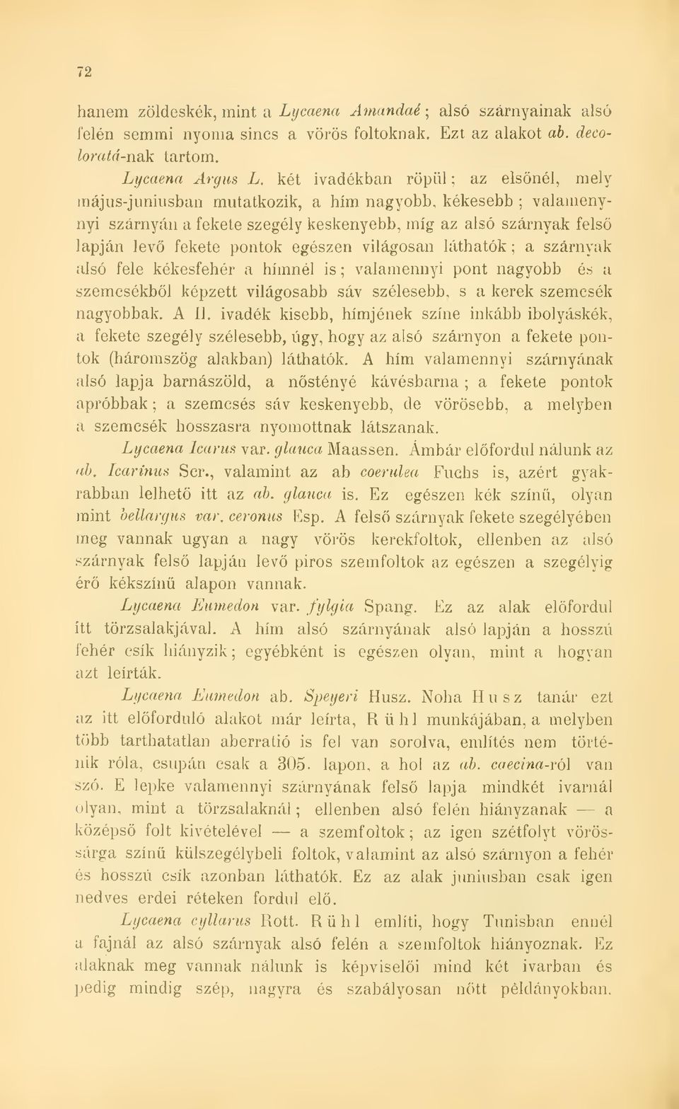 egészen világosan láthatók ; a szárnyak alsó fele kékesfehér a hímnél is ; valamennyi pont nagyobb és a szemcsékbl képzett világosabb sáv szélesebb, s a kerek szemcsék nagyobbak, A II, ivadék kisebb,