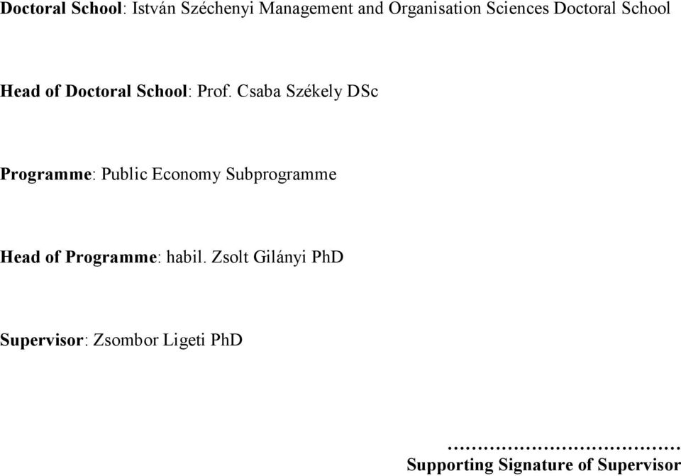 Csaba Székely DSc Programme: Public Economy Subprogramme Head of