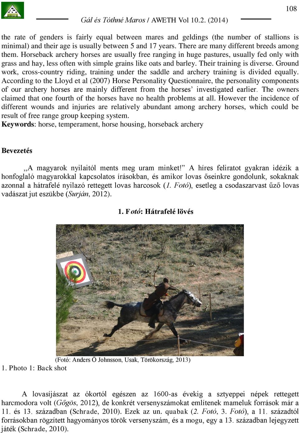 Their training is diverse. Ground work, cross-country riding, training under the saddle and archery training is divided equally.