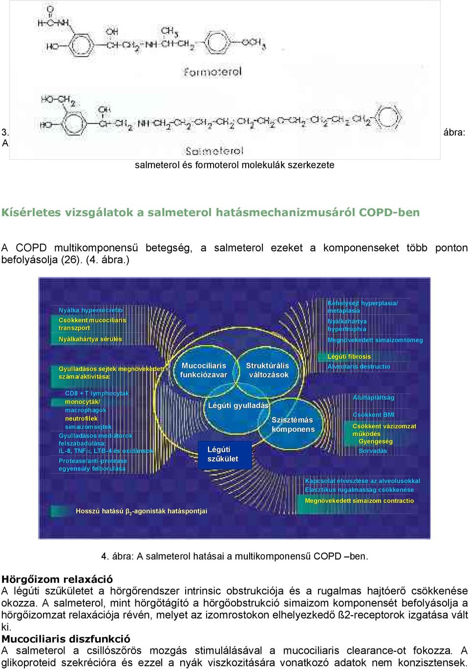 ) yálka hypersecretio sökkent mucociliaris transzport yálkah lkahártya sérüléss ehelysejt hyperplasia/ metaplasia yálkah lkahártya hypertrophia egnövekedett simaizomtömeg meg yulladásos sejtek