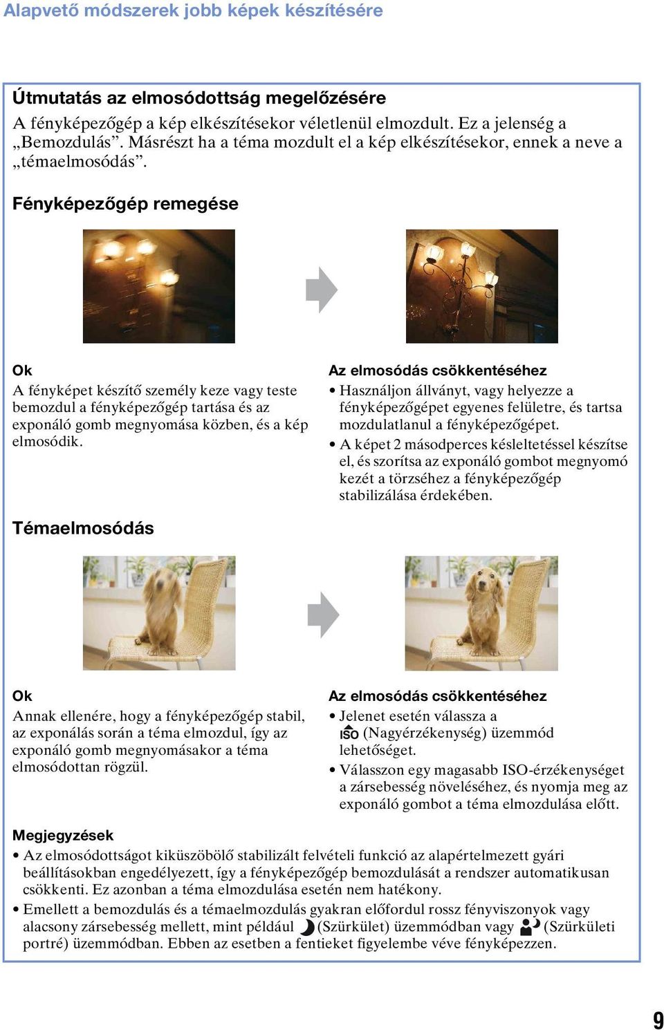 Fényképezőgép remegése Ok A fényképet készítő személy keze vagy teste bemozdul a fényképezőgép tartása és az exponáló gomb megnyomása közben, és a kép elmosódik.