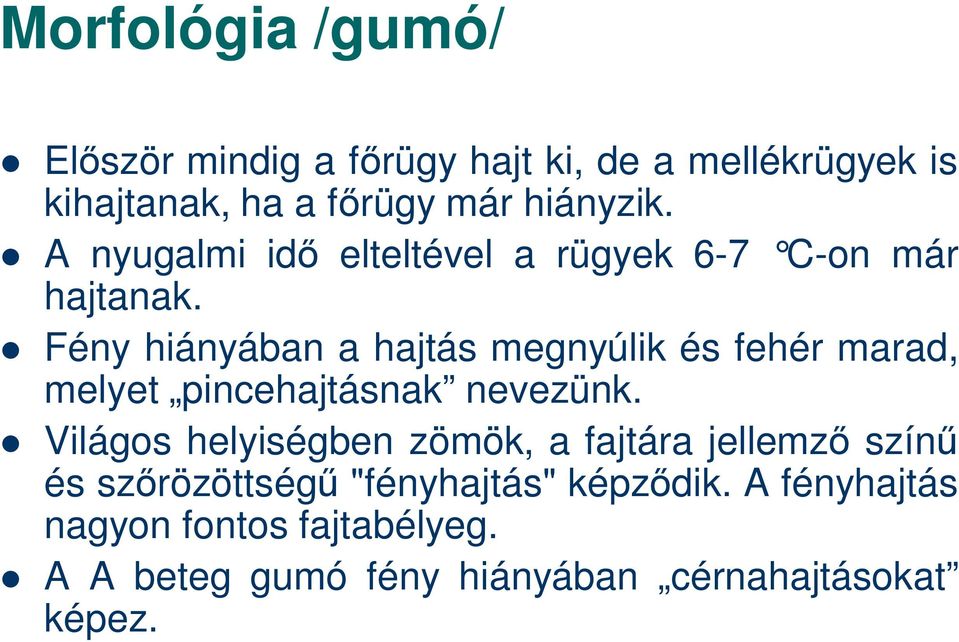 Fény hiányában a hajtás megnyúlik és fehér marad, melyet pincehajtásnak nevezünk.