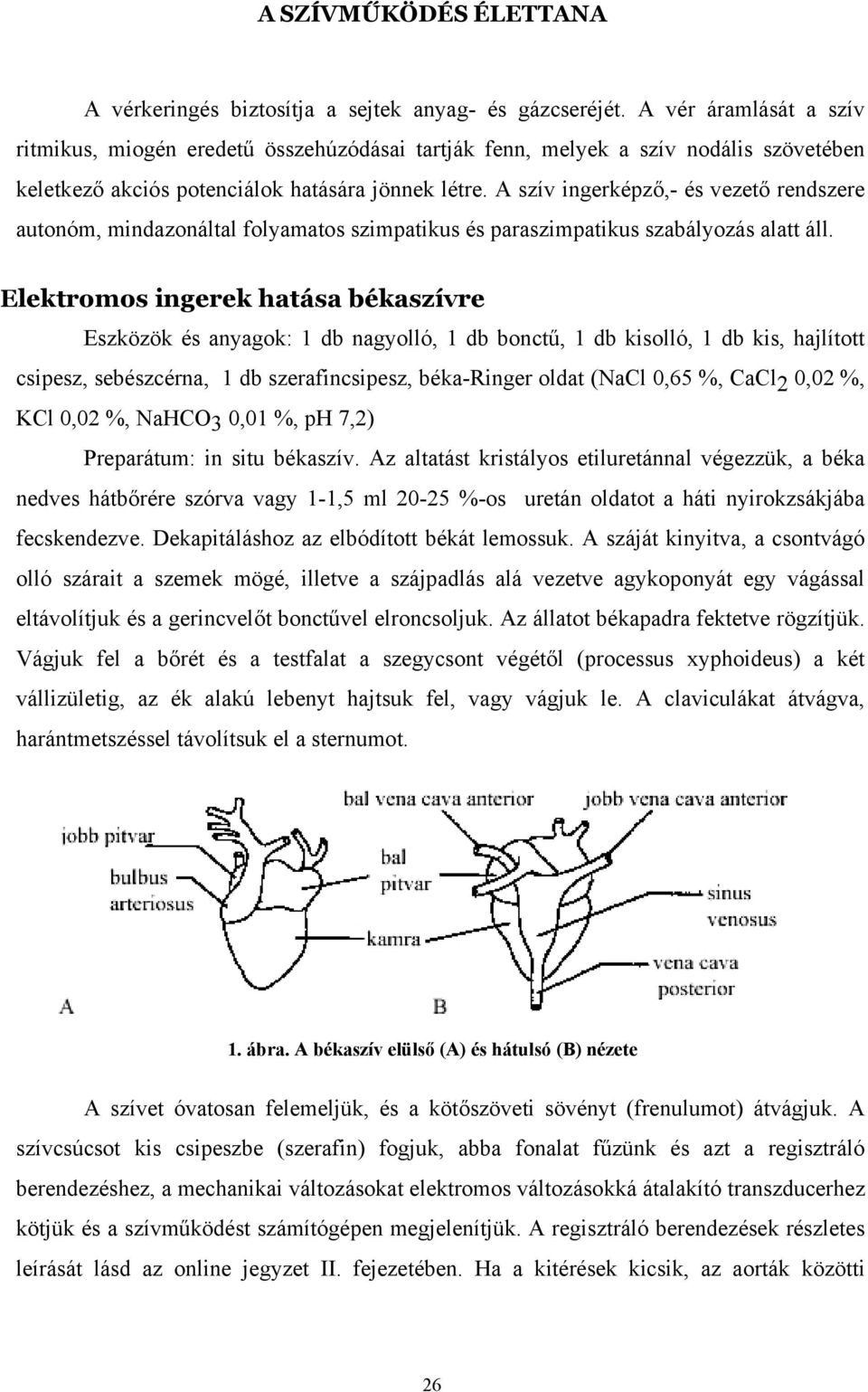 A szív ingerképző,- és vezető rendszere autonóm, mindazonáltal folyamatos szimpatikus és paraszimpatikus szabályozás alatt áll.