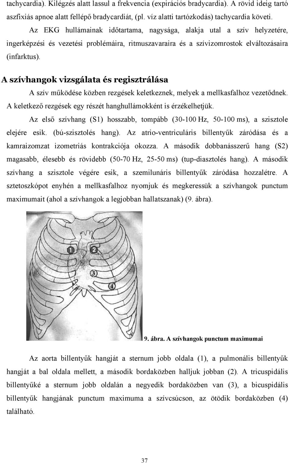 A szívhangok vizsgálata és regisztrálása A szív működése közben rezgések keletkeznek, melyek a mellkasfalhoz vezetődnek. A keletkező rezgések egy részét hanghullámokként is érzékelhetjük.