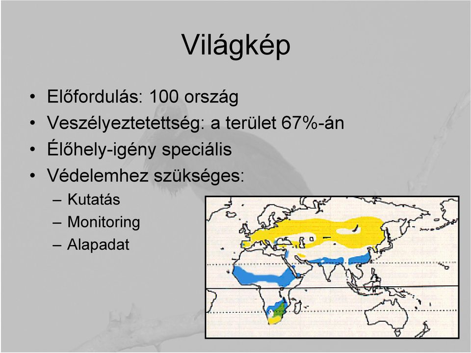 Élőhelyigény speciális Védelemhez