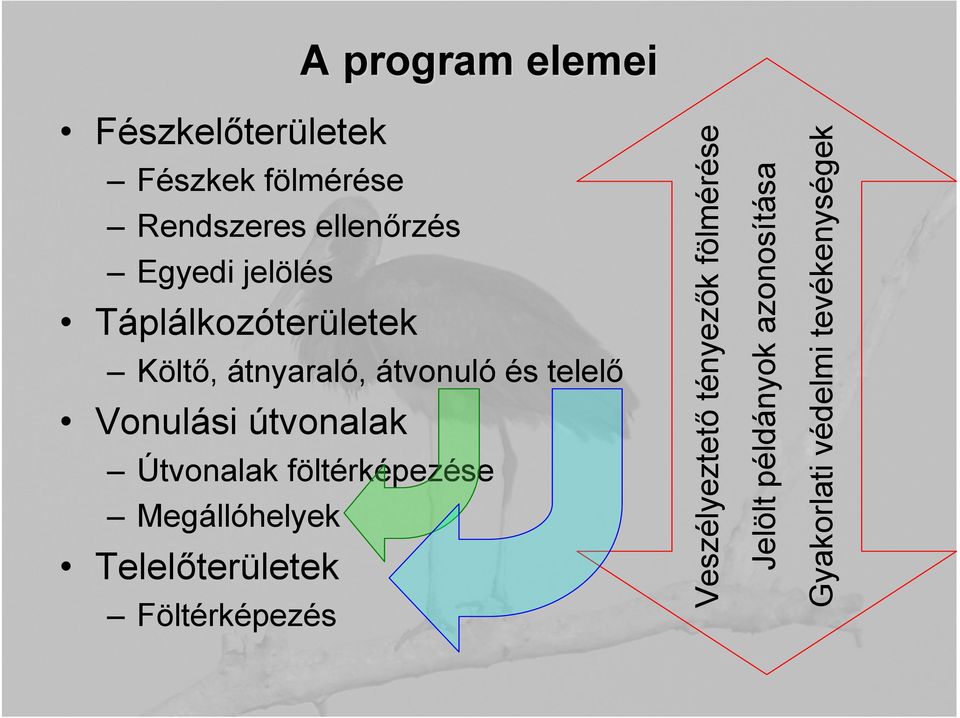 útvonalak Útvonalak föltérképezése Megállóhelyek Telelőterületek Föltérképezés