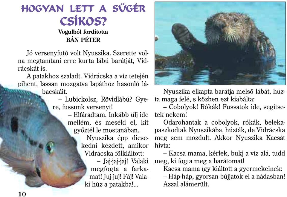 Nyuszika épp dicsekedni kezdett, amikor Vidrácska fölkiáltott: Jaj-jaj-jaj! Valaki megfogta a farkamat! Juj-juj! áj! Valaki húz a patakba!
