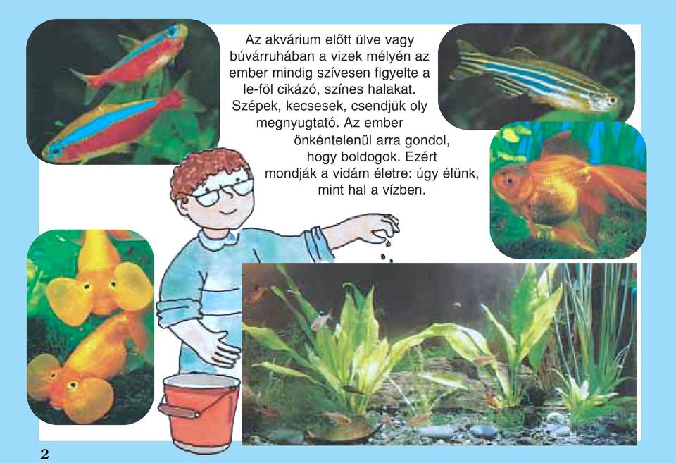 Szépek, kecsesek, csendjük oly megnyugtató.