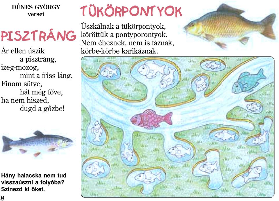 TÜKÖRPONTYOK Úszkálnak a tükörpontyok, köröttük a pontyporontyok.