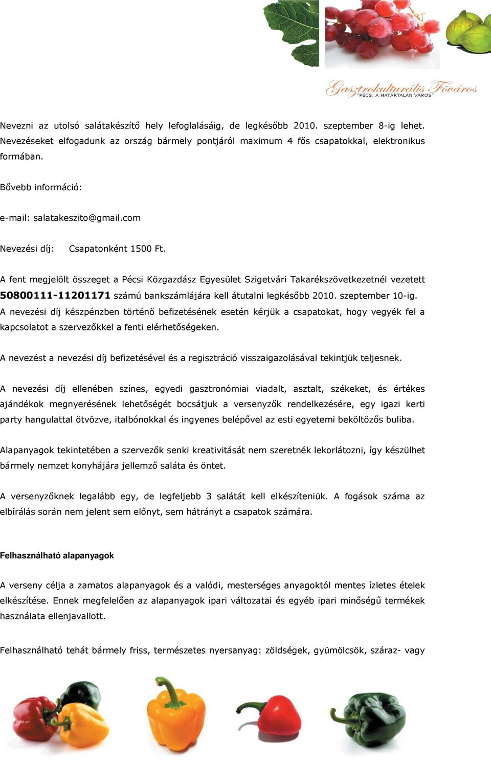 A fent megjelölt összeget a Pécsi Közgazdász Egyesület Szigetvári Takarékszövetkezetnél vezetett 50800111-11201171 számú bankszámlájára kell átutalni legkésıbb 2010. szeptember 10-ig.