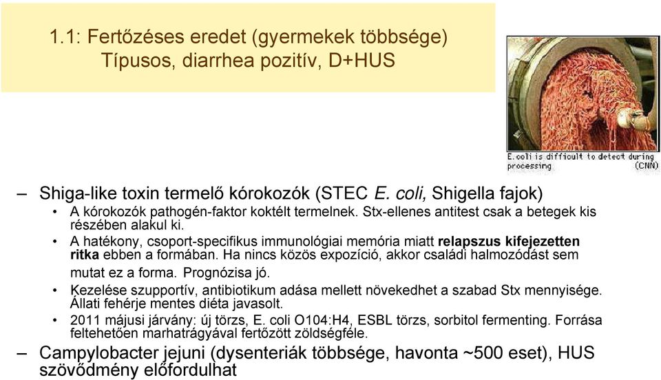 Ha nincs közös expozíció, akkor családi halmozódást sem mutat ez a forma. Prognózisa jó. Kezelése szupportív, antibiotikum adása mellett növekedhet a szabad Stx mennyisége.