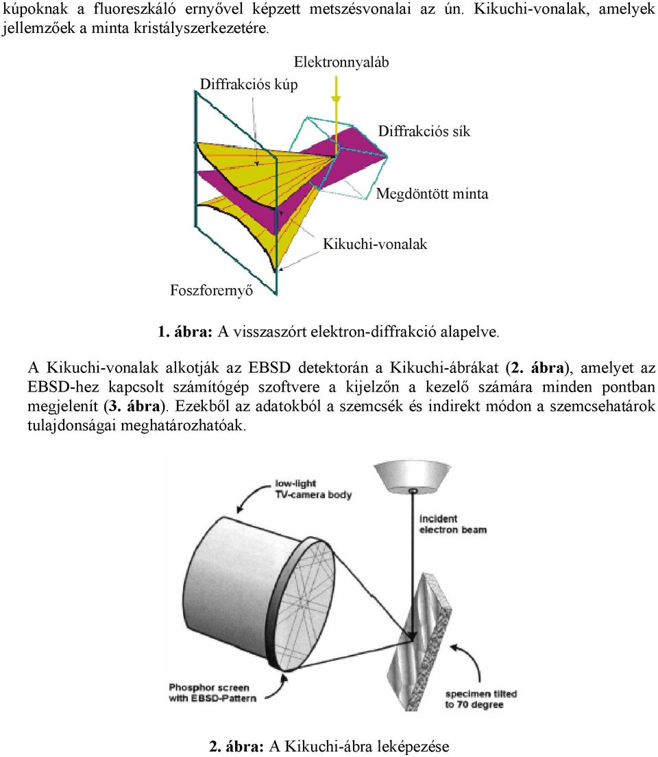 A Kikuchi-vonalak alkotják az EBSD detektorán a Kikuchi-ábrákat (2.