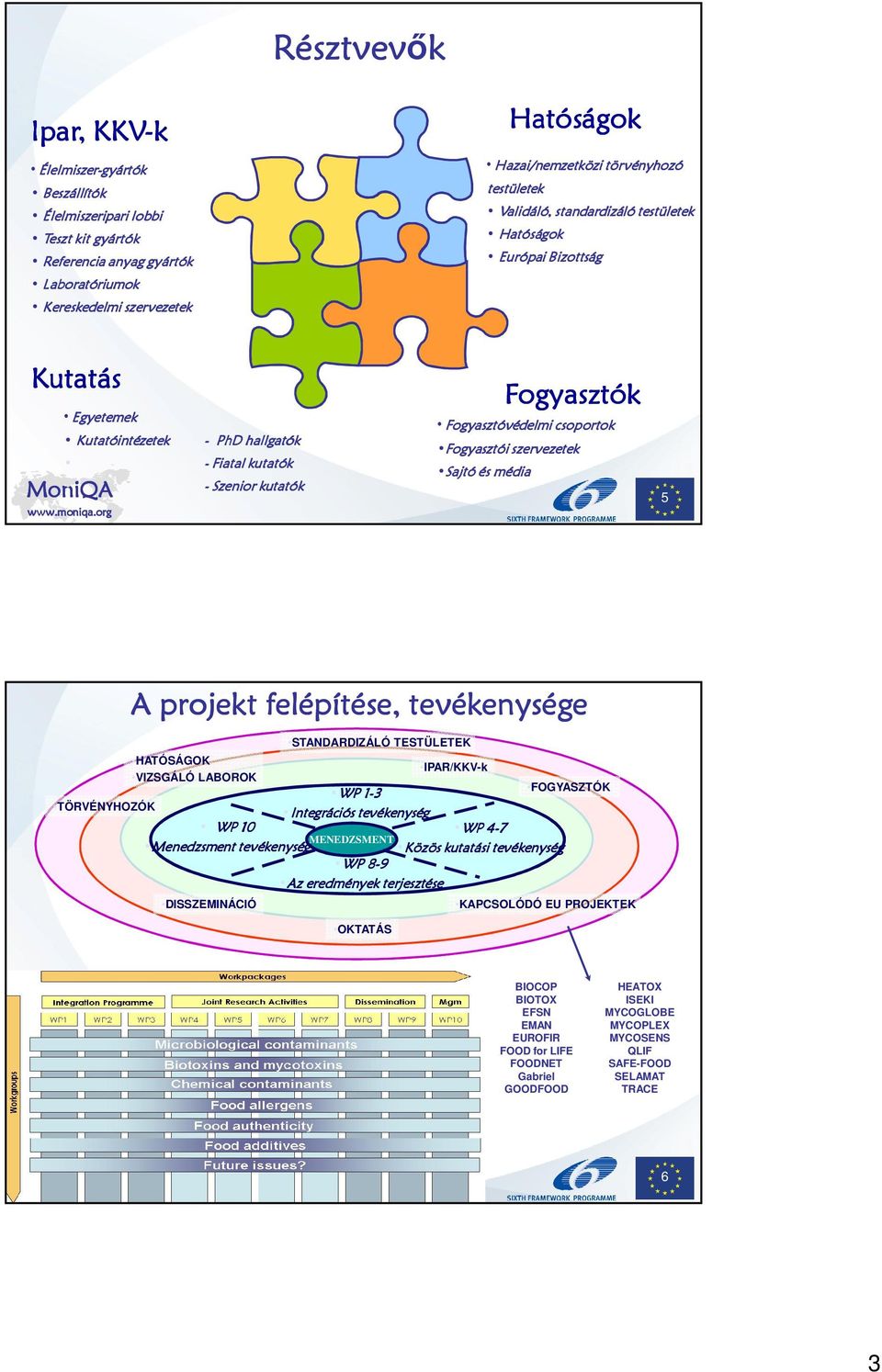 Fogyasztói szervezetek Sajtó és média 5 A projekt felépítése, tevékenysége STANDARDIZÁLÓ TESTÜLETEK HATÓSÁGOK IPAR/KKV-k VIZSGÁLÓ LABOROK FOGYASZTÓK WP 1-3 TÖRVÉNYHOZÓK Integrációs tevékenység WP 10