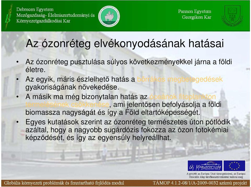 A másik ma még bizonytalan hatás az óceánok fitoplankton termelésének csökkenése, ami jelentısen befolyásolja a földi biomassza