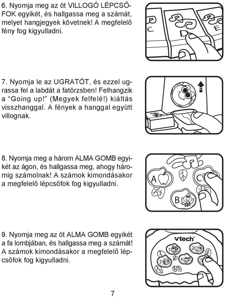 A fények a hanggal együtt villognak. E 8. Nyomja meg a három ALMA GOMB egyikét az ágon, és hallgassa meg, ahogy háromig számolnak!