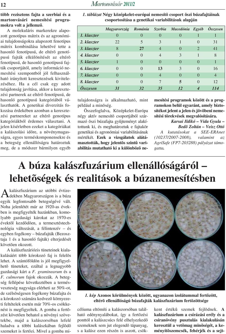 elkülönítését az eltérõ fenotípusú, de hasonló genotípusú fajták csoportjától, amely információ nemesítési szempontból jól felhasználható irányított keresztezések kivitelezéséhez.