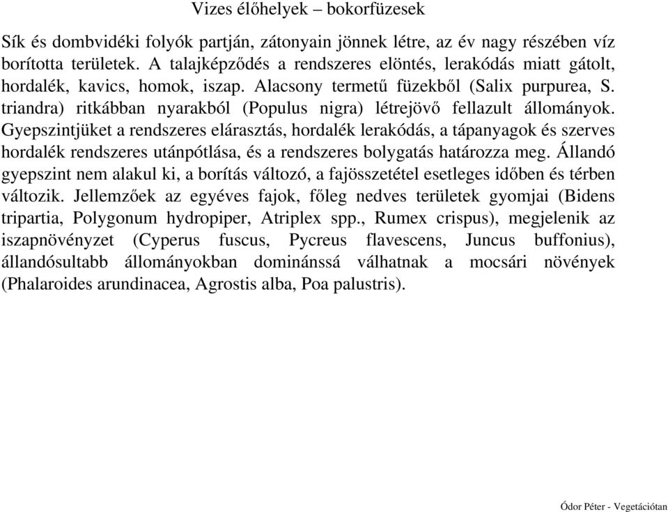 triandra) ritkábban nyarakból (Populus nigra) létrejövő fellazult állományok.