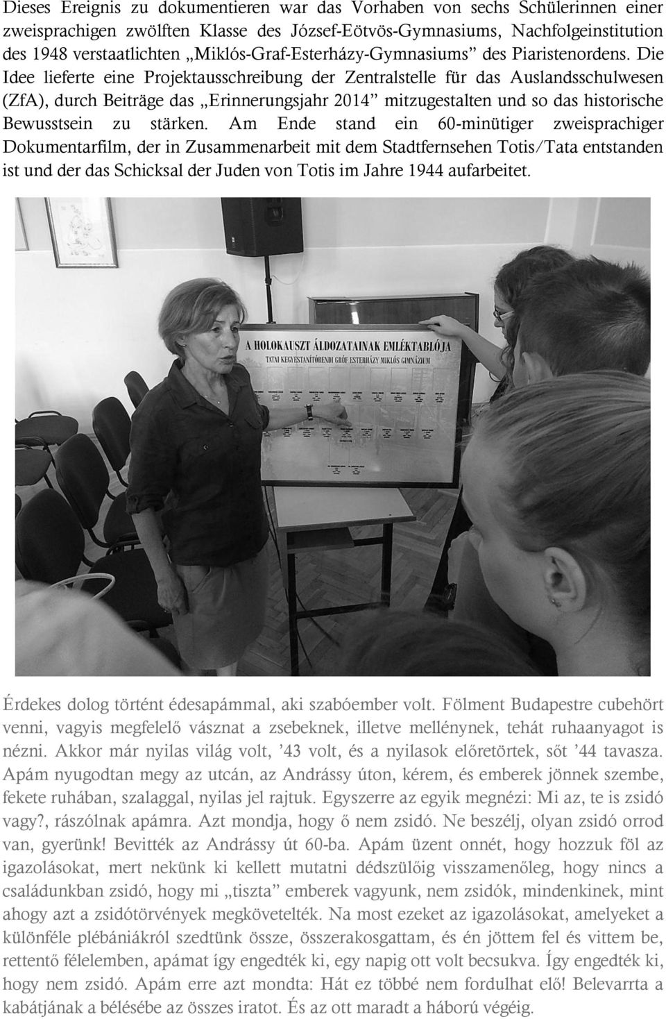 Die Idee lieferte eine Projektausschreibung der Zentralstelle für das Auslandsschulwesen (ZfA), durch Beiträge das Erinnerungsjahr 2014 mitzugestalten und so das historische Bewusstsein zu stärken.