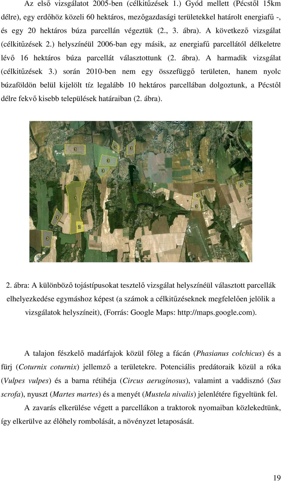 A következő vizsgálat (célkitűzések 2.) helyszínéül 2006-ban egy másik, az energiafű parcellától délkeletre lévő 16 hektáros búza parcellát választottunk (2. ábra).
