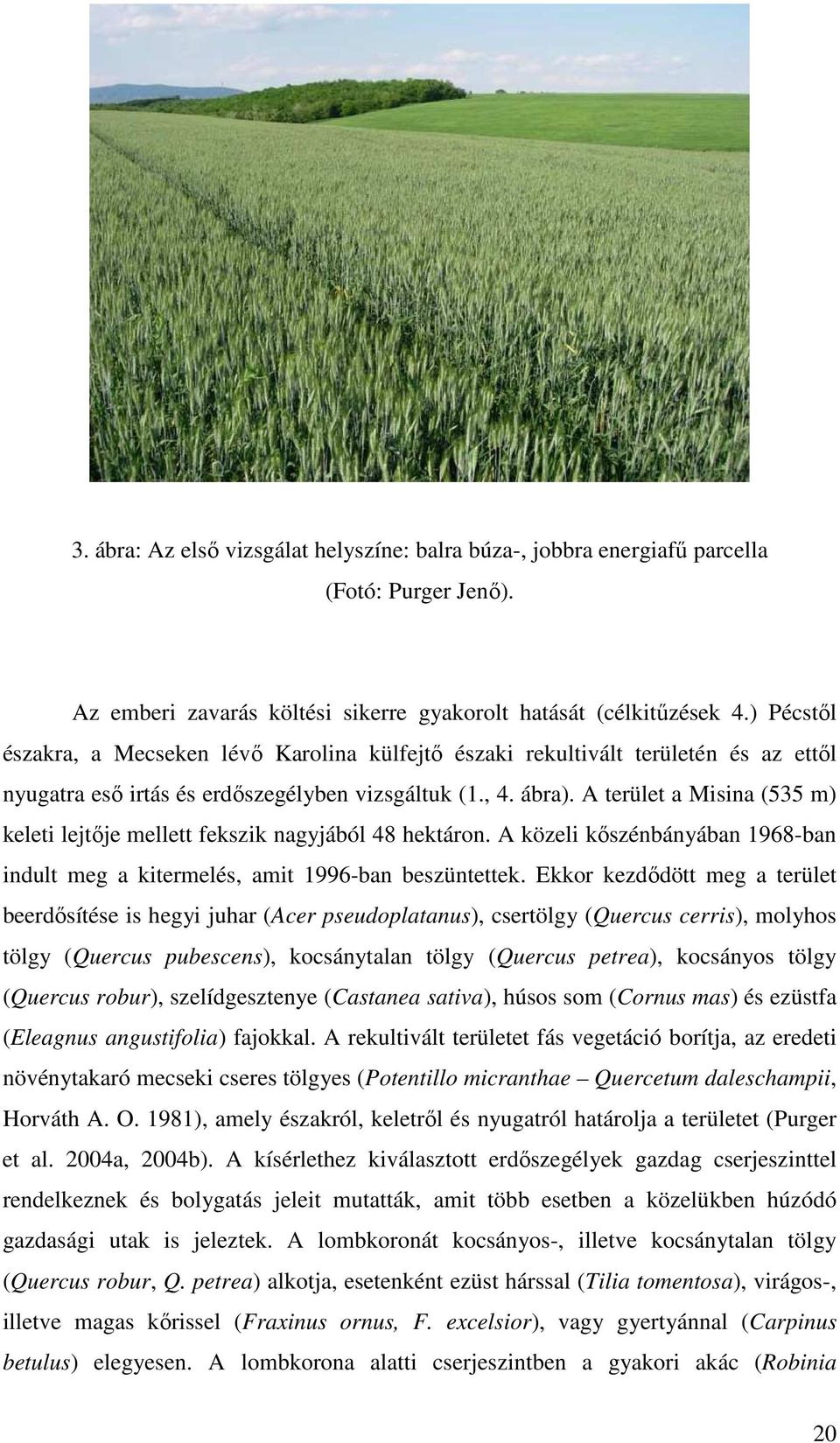 A terület a Misina (535 m) keleti lejtője mellett fekszik nagyjából 48 hektáron. A közeli kőszénbányában 1968-ban indult meg a kitermelés, amit 1996-ban beszüntettek.