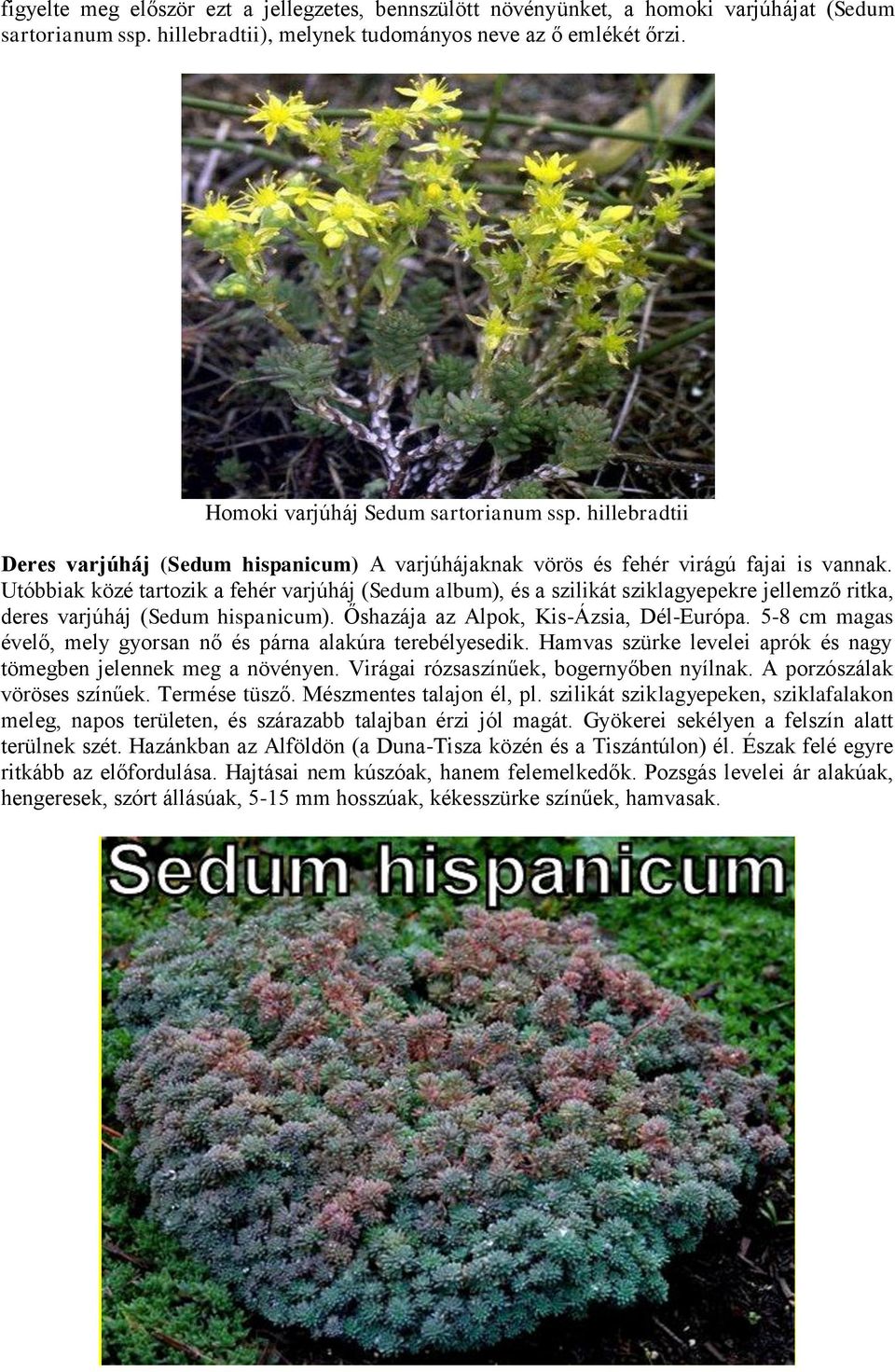 Utóbbiak közé tartozik a fehér varjúháj (Sedum album), és a szilikát sziklagyepekre jellemző ritka, deres varjúháj (Sedum hispanicum). Őshazája az Alpok, Kis-Ázsia, Dél-Európa.