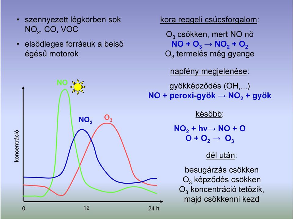 megjelenése: gyökképződés (OH,.